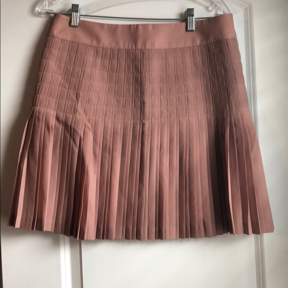 New J. Crew Skirt